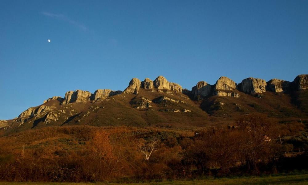 Agriturismo Al Gallo Verde Altavilla Silentina ภายนอก รูปภาพ