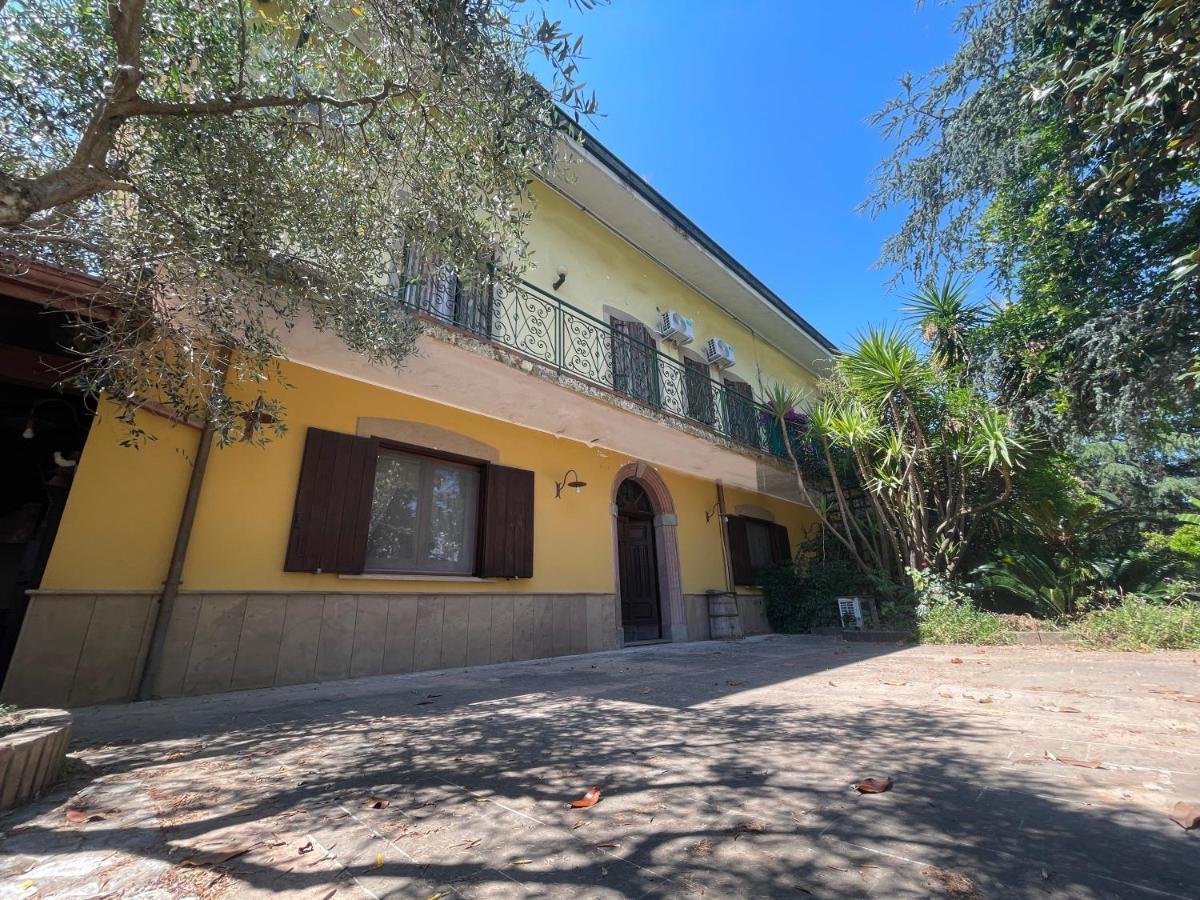 Agriturismo Al Gallo Verde Altavilla Silentina ภายนอก รูปภาพ
